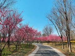 -东郊湿地公园