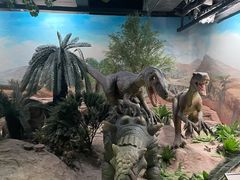 -国家自然博物馆