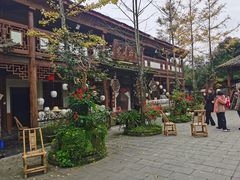 -青城甲(青城山店)