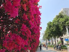 -赛马场美食城