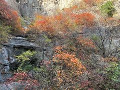 -黄花溪