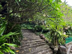 -乌山风景区