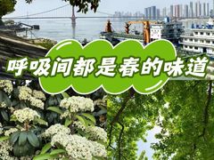 -武昌江滩