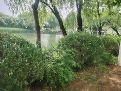-金银湖国家城市湿地公园