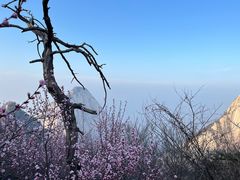 -华山风景名胜区