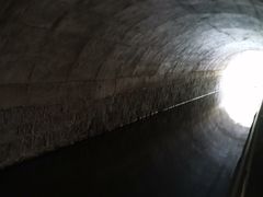 -白水寺森林公园