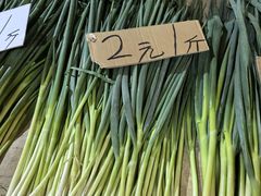 -大连双兴商品城