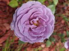 -滨河世纪广场公园