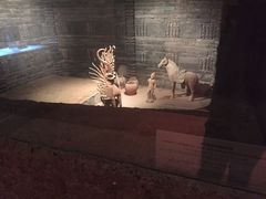 -敦煌市博物馆