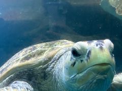 -海合安青岛极地海洋公园