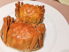 -王宝和酒家(黄浦店)