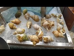 -白天鹅宾馆·流浮阁咖啡厅