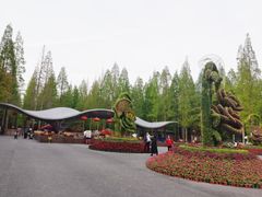 -东平国家森林公园