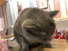 -小时光咖啡馆(开森度假森林店)