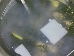 -黄海湾海鲜坊(台山铜鼓店)