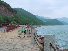 -杨梅坑