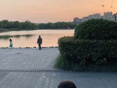 -南翔镇银翔湖公园