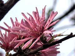 -唐城墙遗址公园