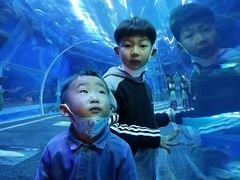 -成都浩海立方海洋公园