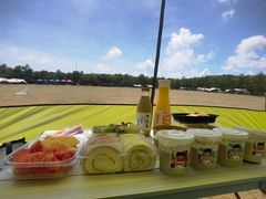 -上海海湾国家森林公园