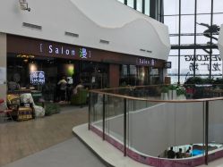 -salon漫