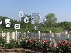-嘉北郊野公园