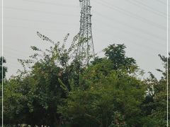 -永定河休闲森林公园