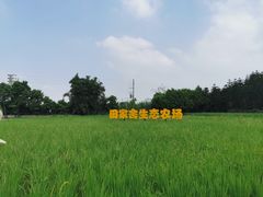 -迪茵湖田家舍生态农场