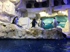 -华夏文旅西安度假区