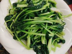 -泸沽肴(泸沽湖大洛水村农村信用社旁店)