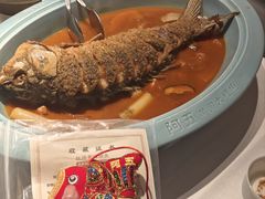 -阿五黄河大鲤鱼(英协路店)