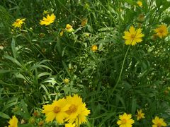 -白塘生态植物园