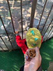 -萌宠亲子动物乐园(槐房万达店)