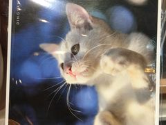 -猫的天空之城概念书店(杭州南宋御街店)