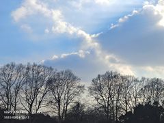 -麦当劳(丰庄店)