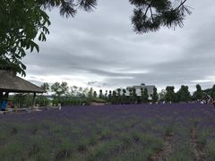 -富田农场