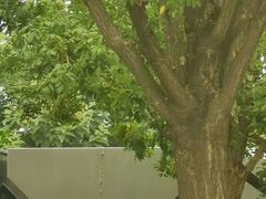 -平安里(地铁站)