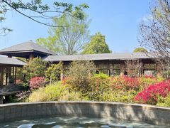 -深业半汤御泉庄温泉