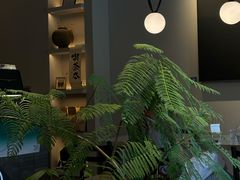 -溯洄咖啡VORTEX COFFEE