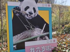 -栾川竹海野生动物园