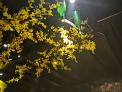 -小镇印象音乐餐吧(莲塘店)