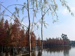 -白鹭湾湿地公园