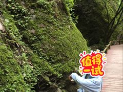 -牛背梁国家森林公园