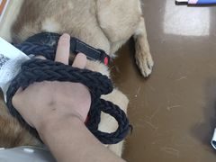 -美联众合动物医院·24h京西诊疗中心