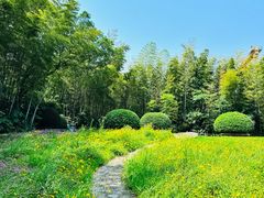 -菊花台公园
