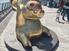 -星光大道