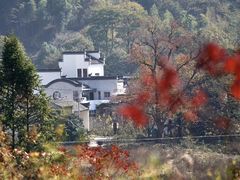 -塔川景区