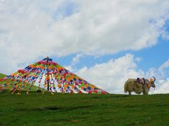 -日月山景区