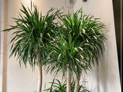 -MEEBO KAFEE米咖焙坊(虹桥路店)