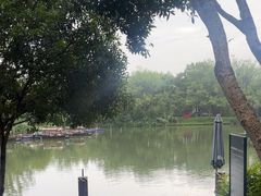 -摇橹船上船码头